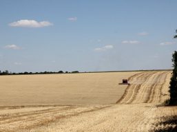 Хід збиральної кампанії в Одеській області