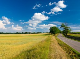 Одеська область зміцнює партнерство з країнами ЄС