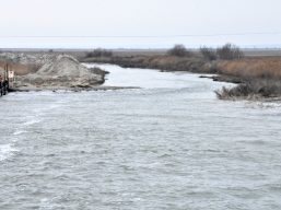 Тилігульський лиман поступово наповнюється водою