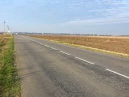 Тривають тендери на розробку проектно-кошторисної документації для ремонту автомобільної дороги Овідіополь-Дальник-Санжейка